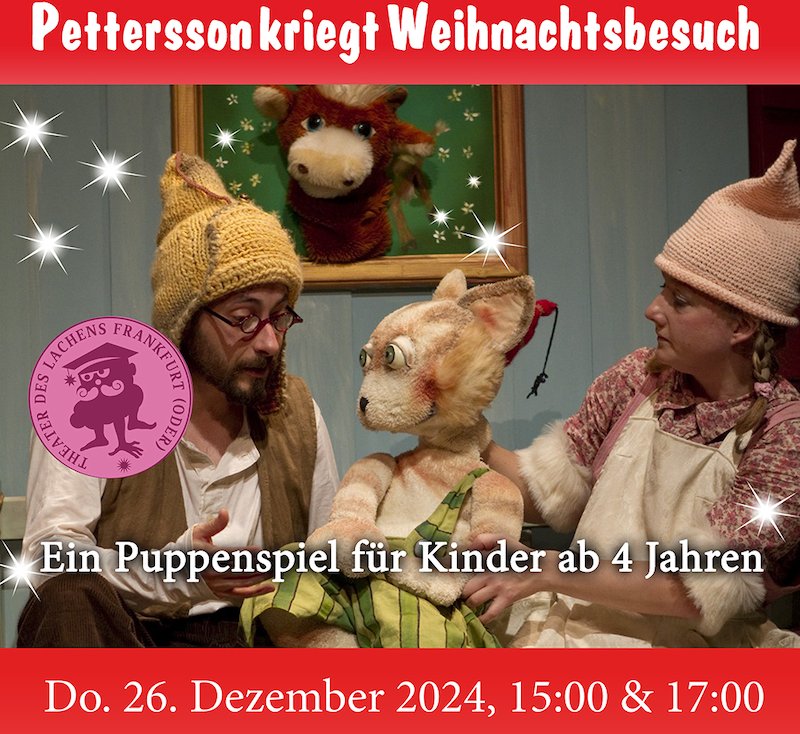 Pettersson kriegt Weihnachtsbesuch