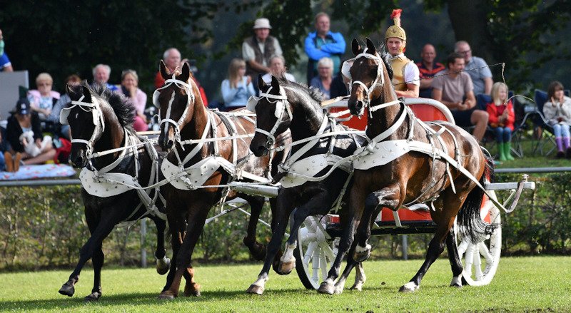 Neustädter Hengstparade 2024 - I. Neustädter Hengstparade 2024