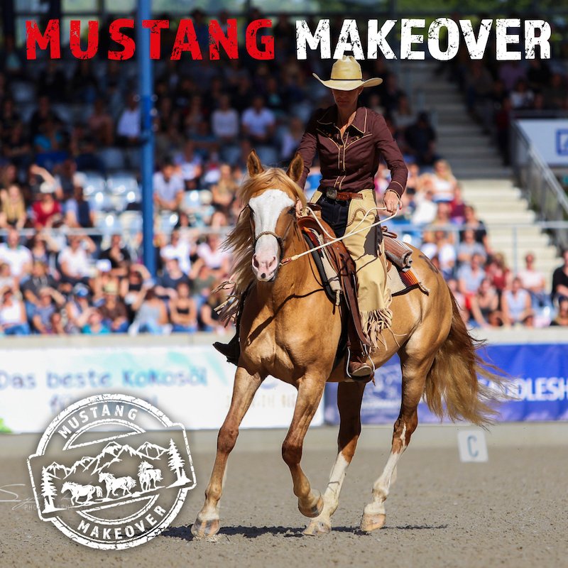 Sonntags -Ticket 2024 inkl. Finalshow Mustang Magic