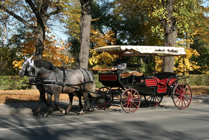 Kutschfahrten - Dresden - 60-minütige Kutschfahrt