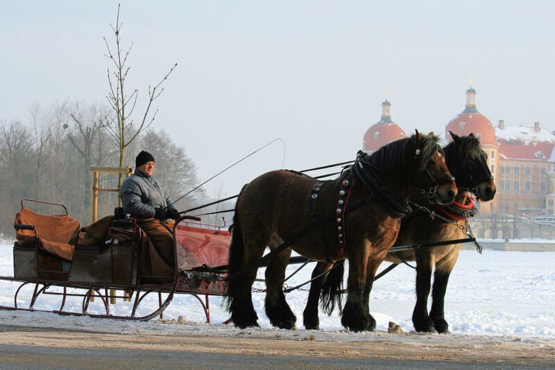 Kutschfahrten - Moritzburg - 60-minütige Kutschfahrt