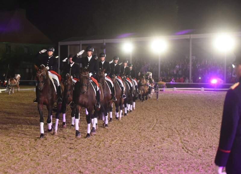 Warendorfer Hengstparaden 2024 - Parade bei Nacht