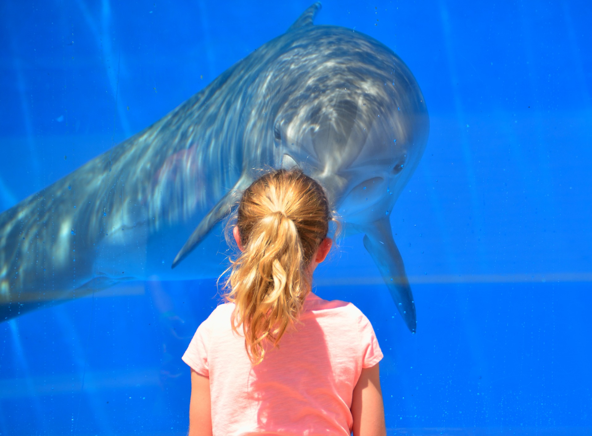 Wild- und Freizeitpark