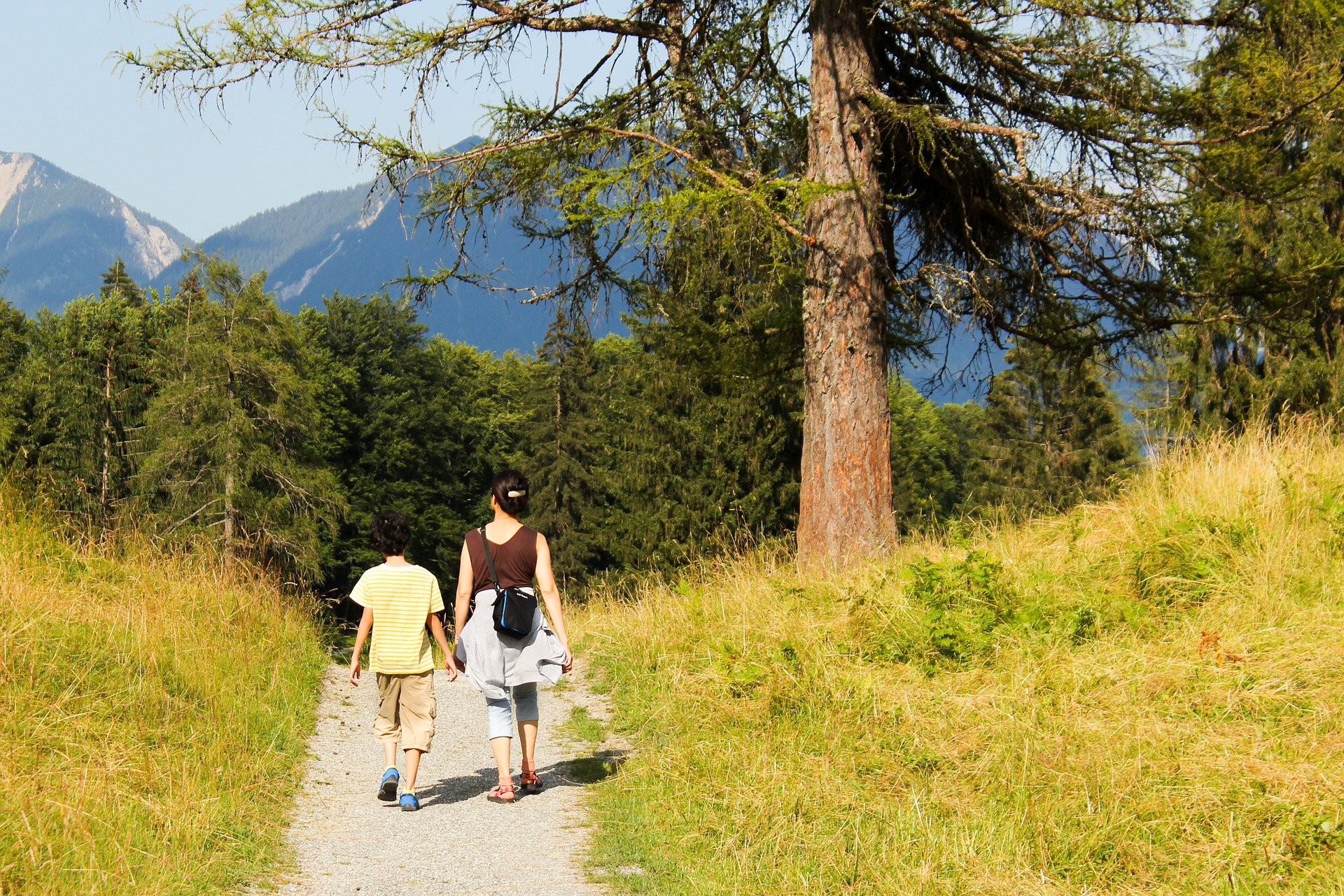 Barrierefreier Wanderweg durch den Wald