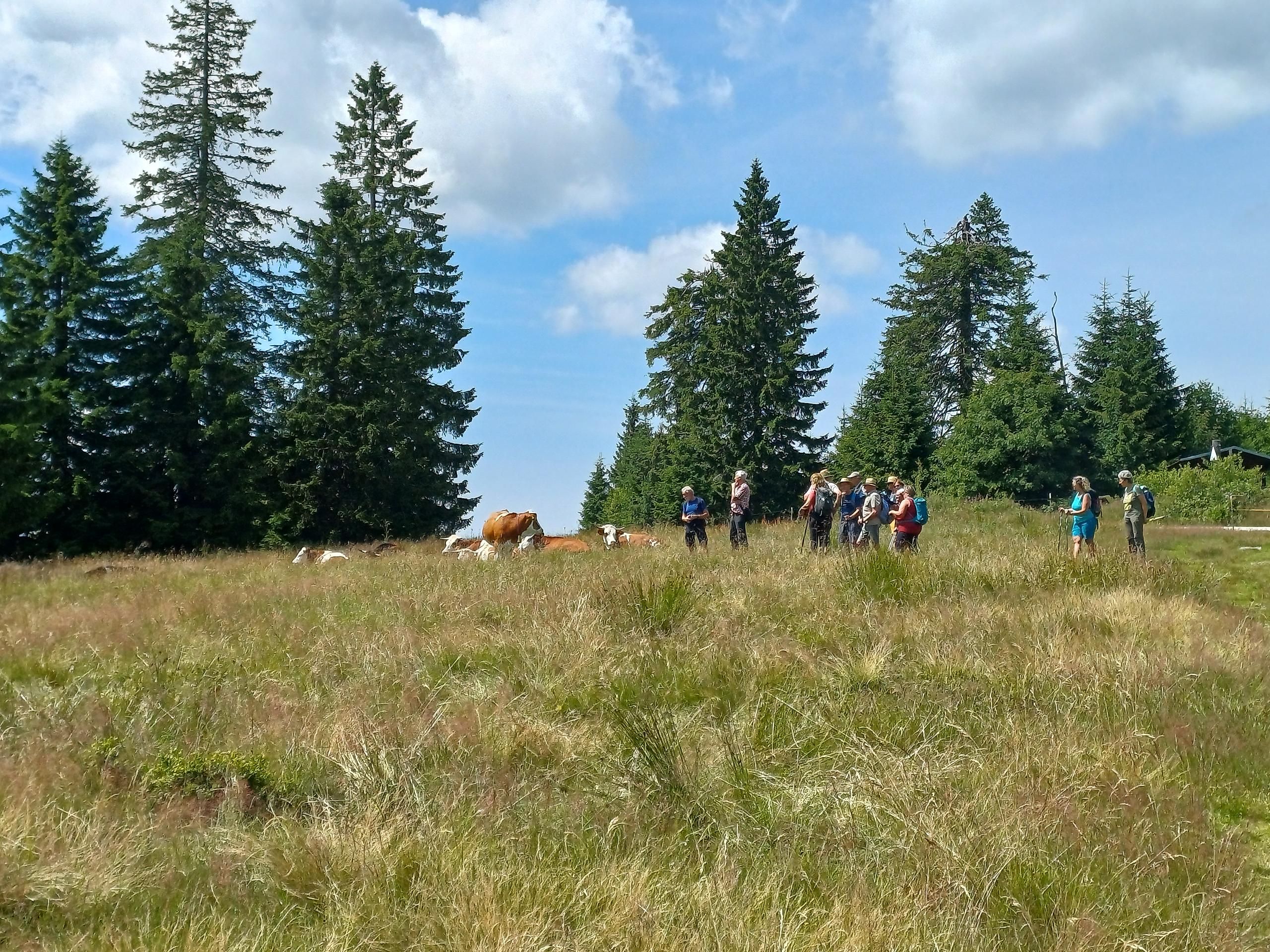 Auf den Spuren der Bayerischen Waldhirten