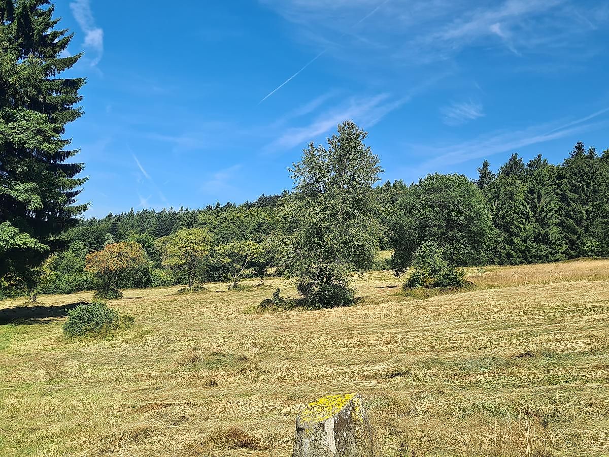 Unterwegs mit den Naturpark-Rangern – Bergwiesen und Buchenwälder am Brotjacklriegel