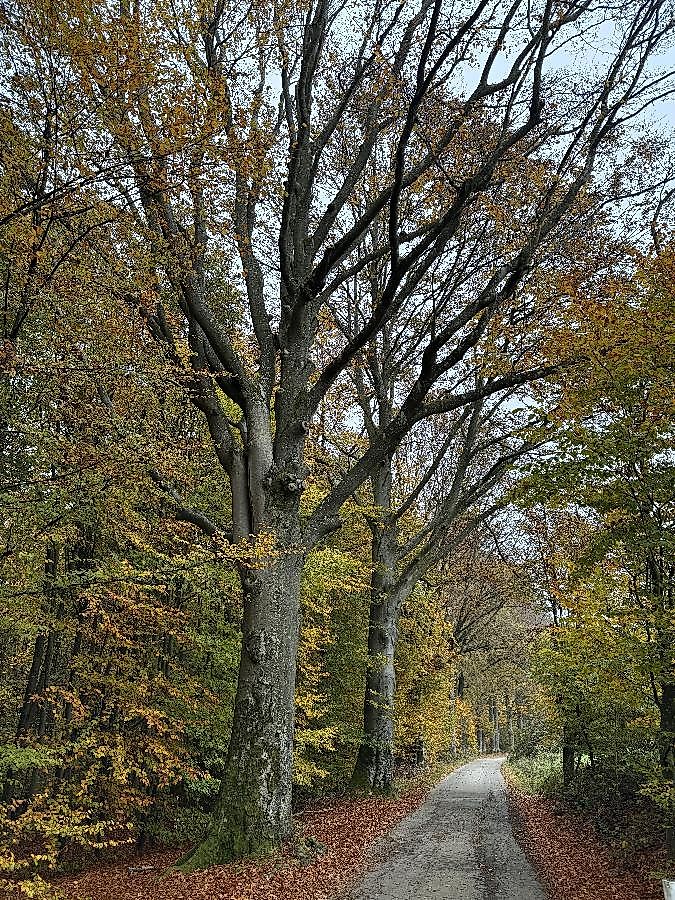 Unterwegs mit dem Naturpark Ranger - Deggendorfer Himmelreich
