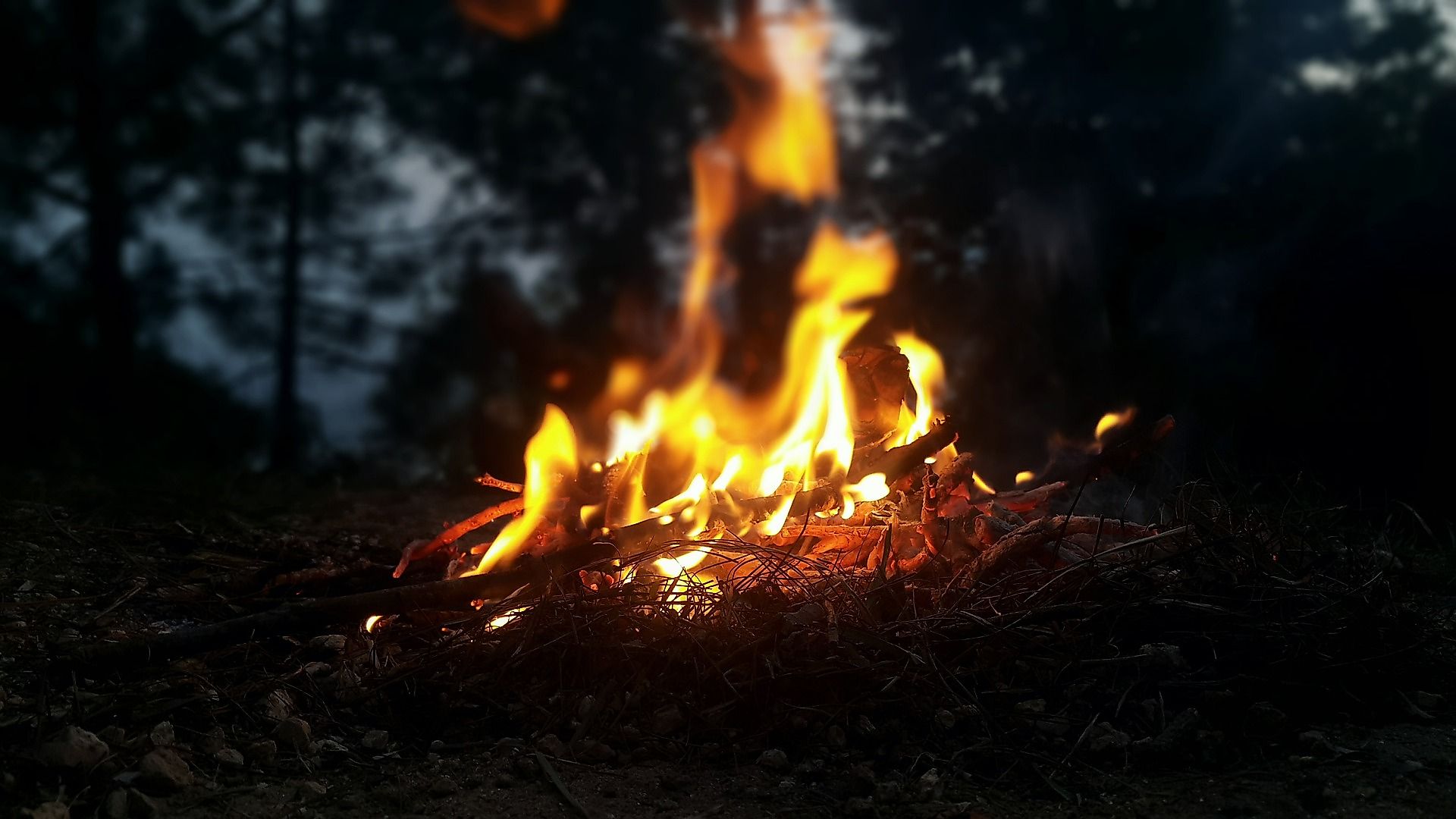 Winter-Sonnwendfeuer