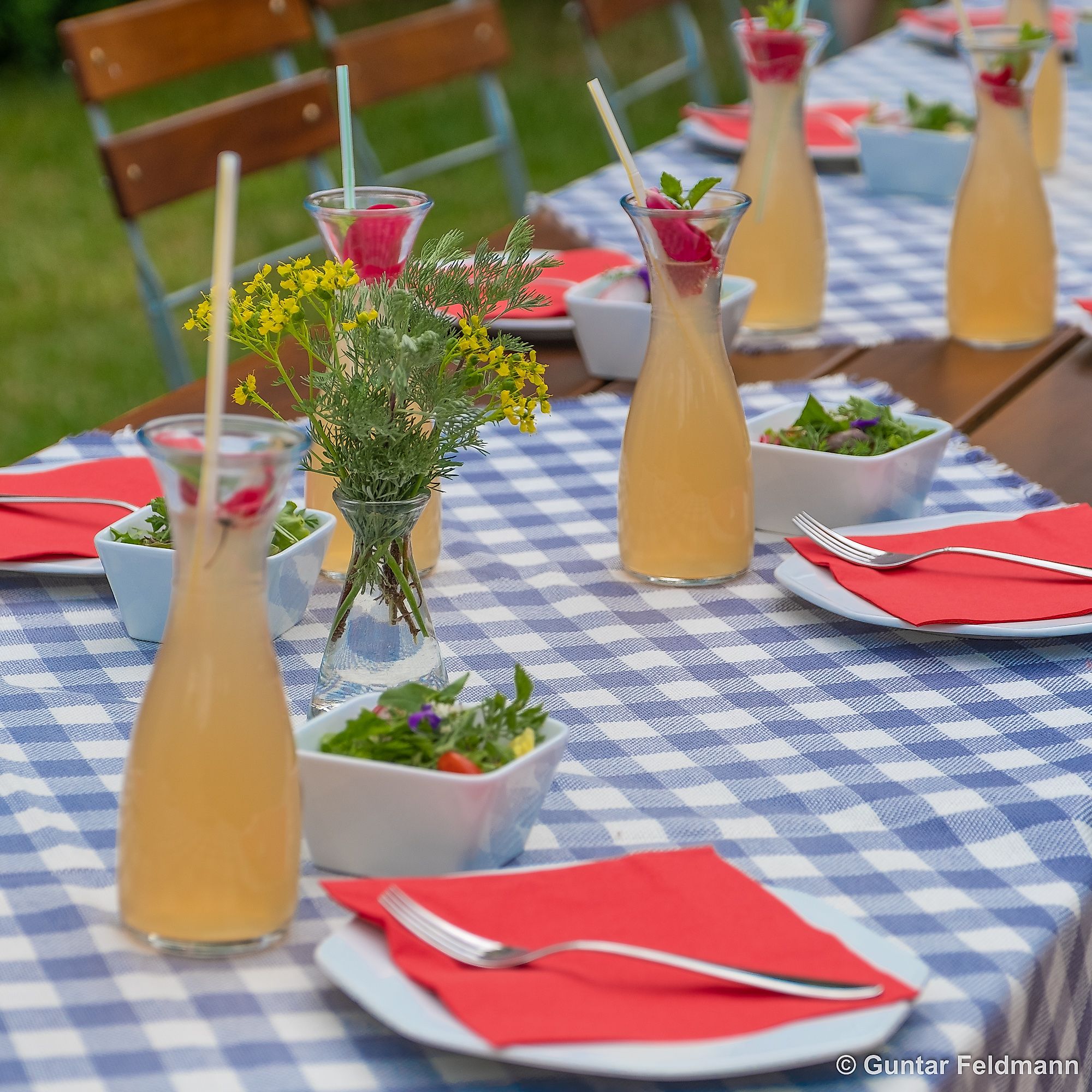 Kochen mit Wildkräutern