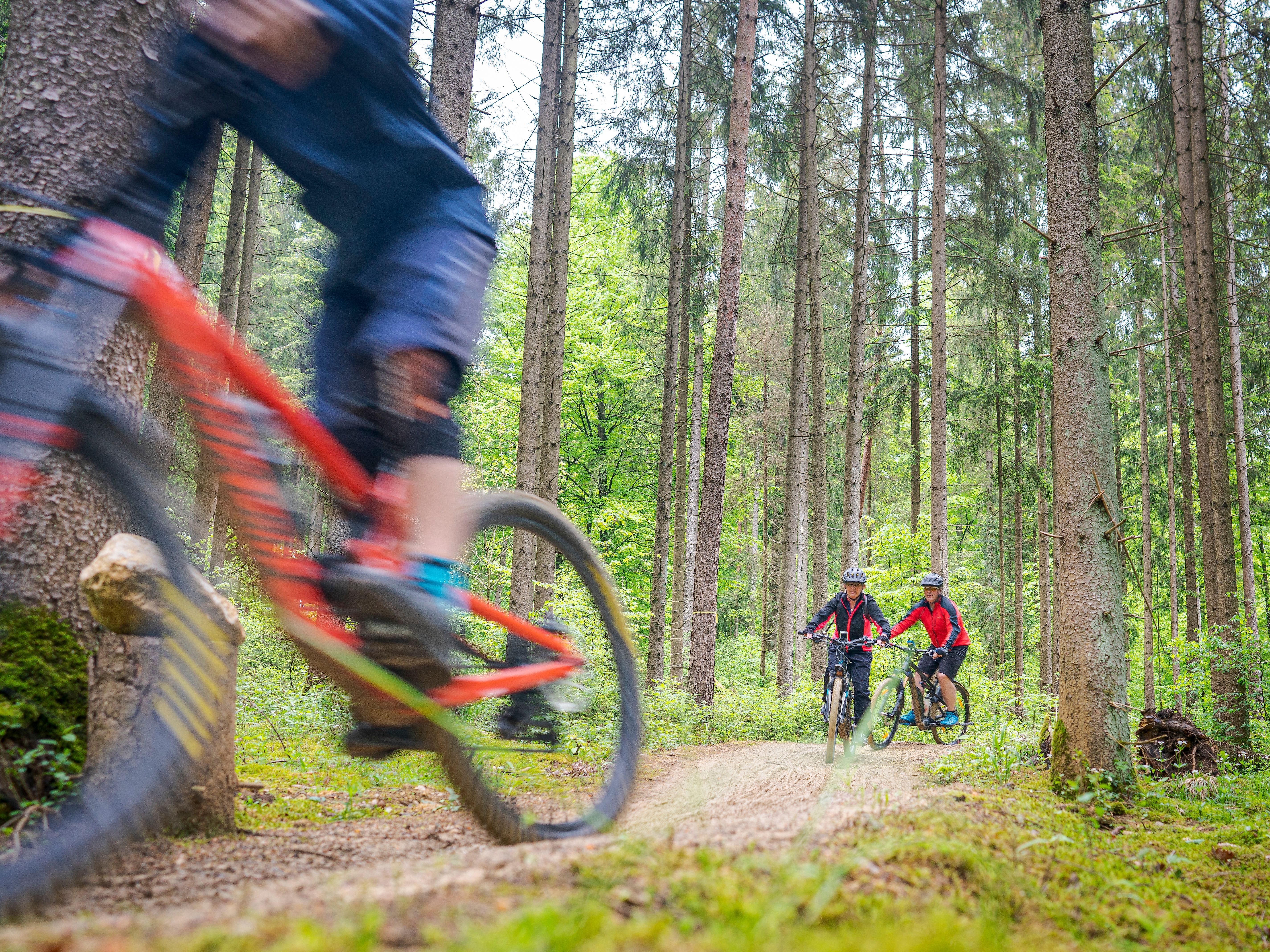 Hänsel und Gretel „fahren" in den Wald