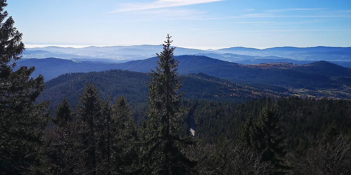 Die Hochlagen-Fichtenwälder der Arberrregion