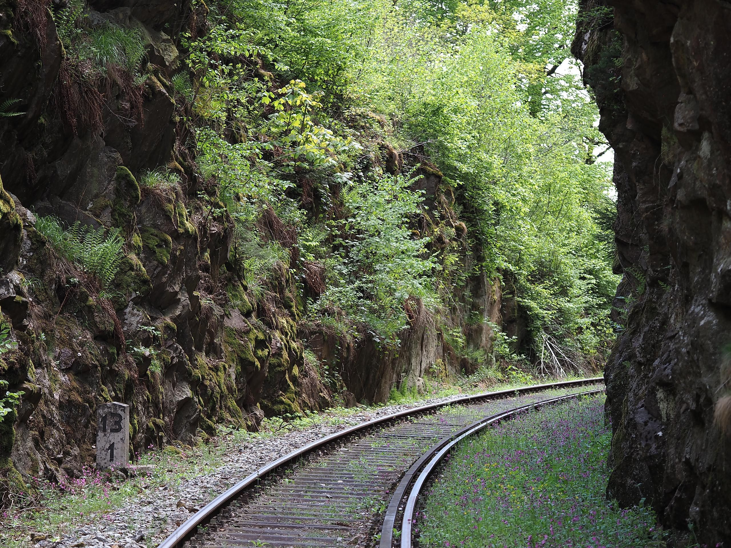 Mit der Ilztalbahn ins Naturschutzgebiet Obere Ilz
