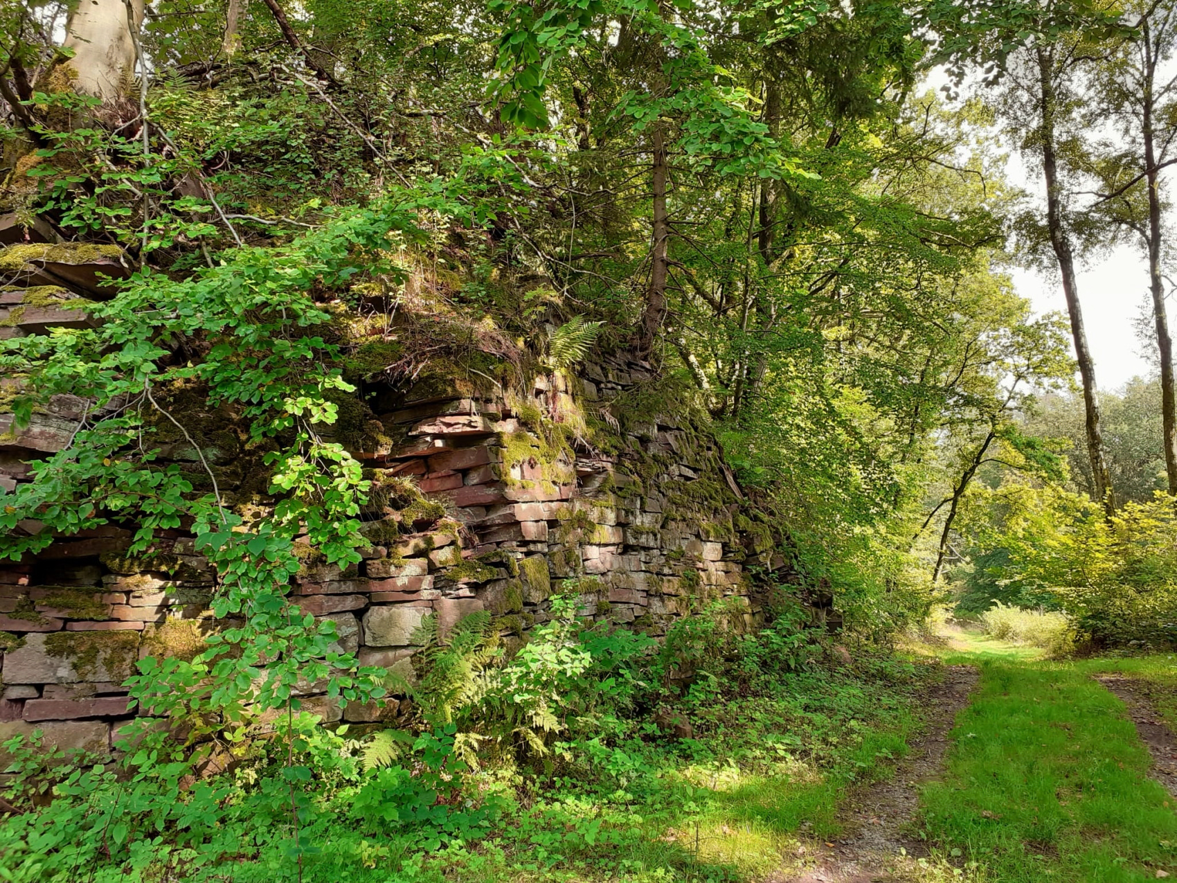 Sandstein- Erlebniswanderweg Arholzen