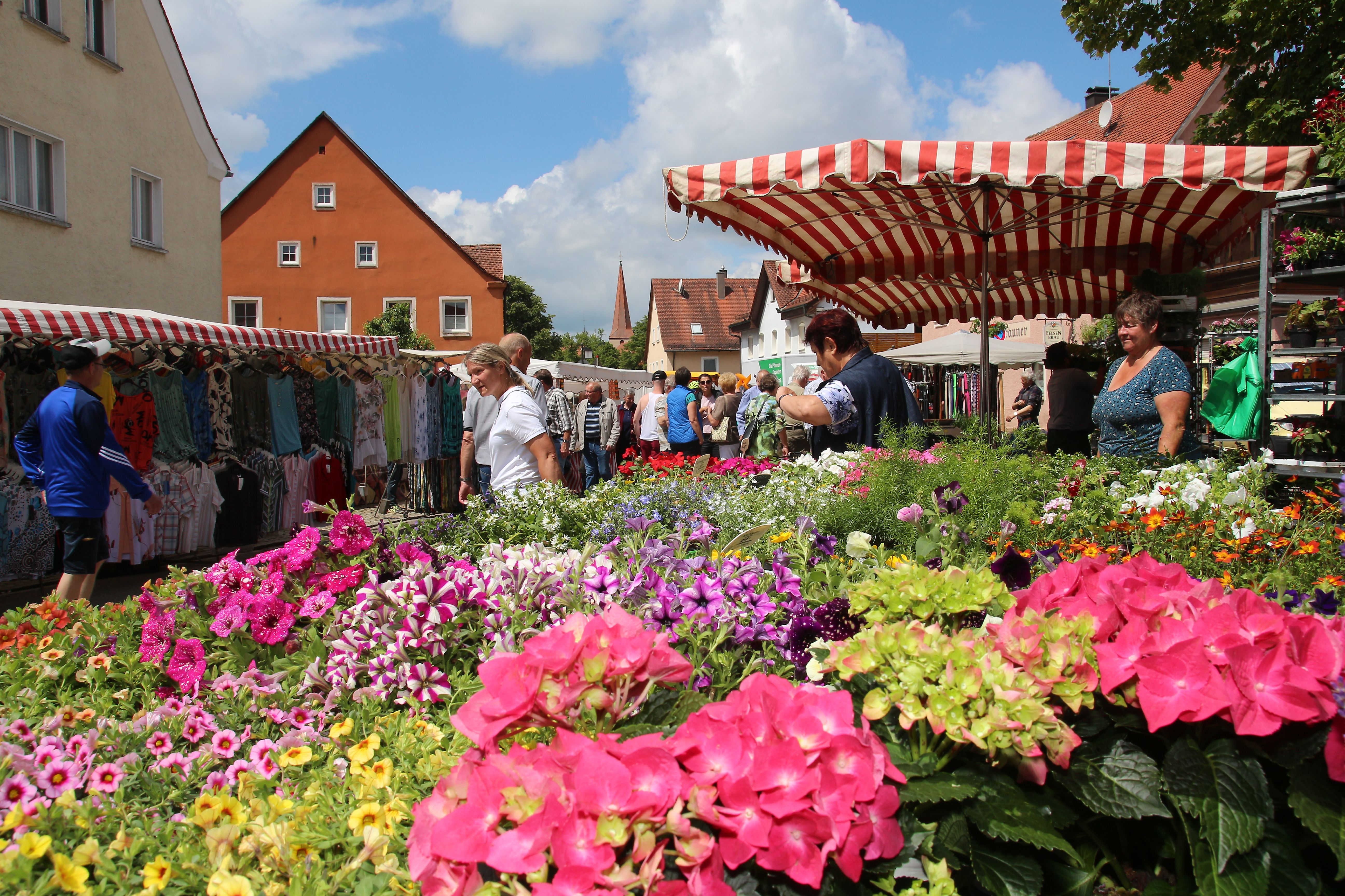 Michaelimarkt Thalmässing
