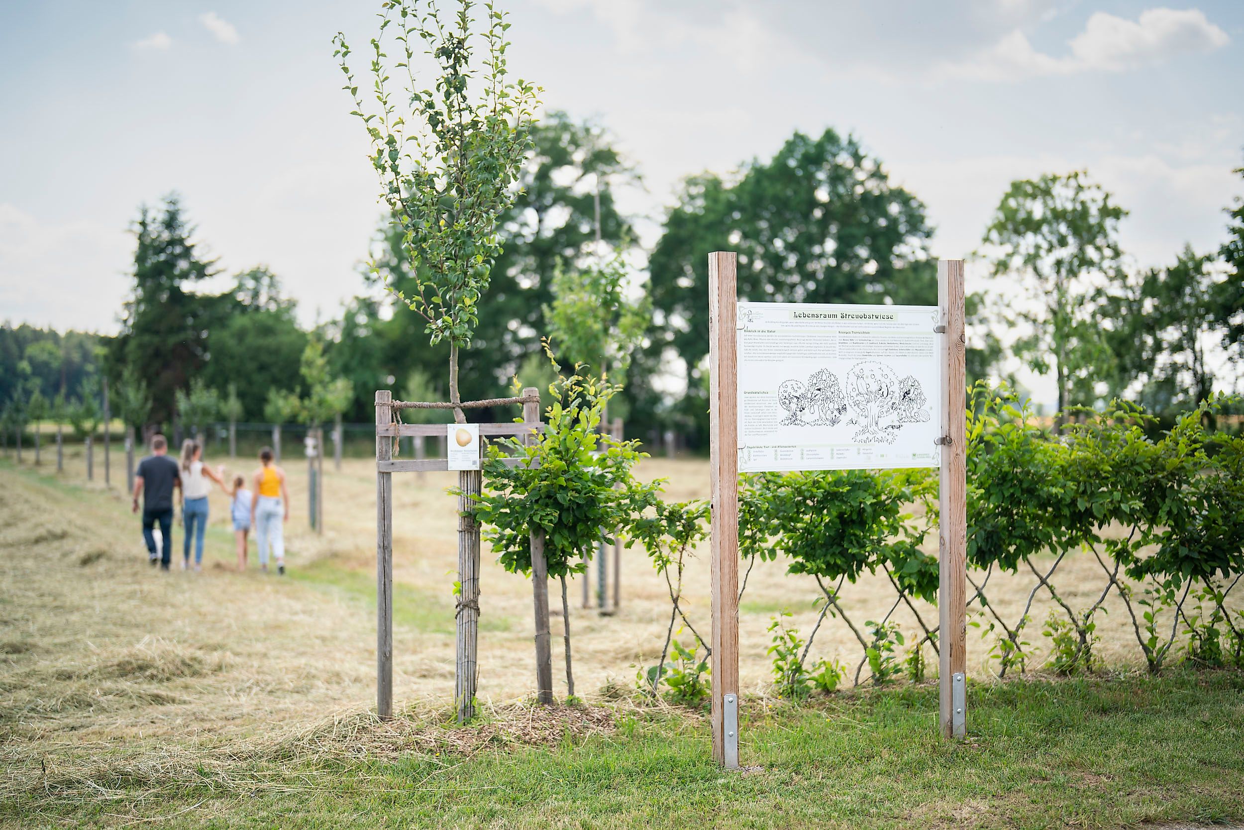 Apfelsorten-Ausstellung im Botanischen Obstlehrgarten