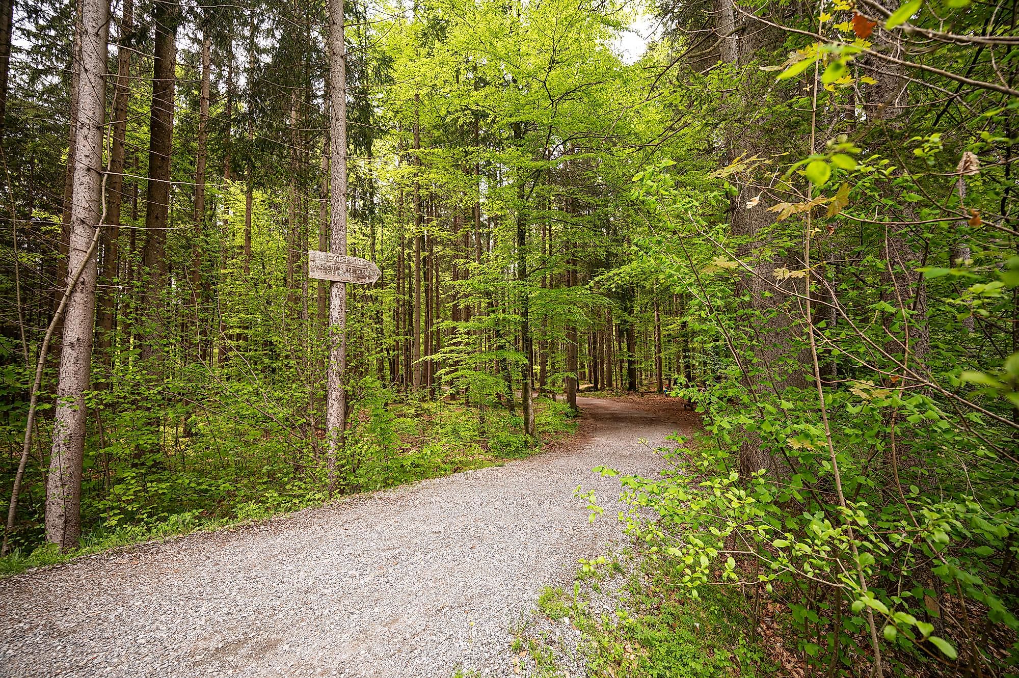 Wald.Luft.Baden im Premium-Heilklima