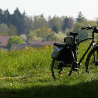 Bannwald - Neckarschleife - Evolutionspfad