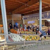 Kürbismarkt "Kürbis Kulinarisch"