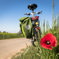 Geführte Radtour - Tagestour nach Bad Essen