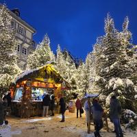 Weihnachtsmarkt und Weihnachtswald Goslar