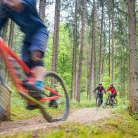 Hänsel und Gretel „fahren" in den Wald