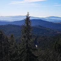 Die Hochlagen-Fichtenwälder der Arberrregion