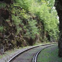 Mit der Ilztalbahn ins Naturschutzgebiet Obere Ilz