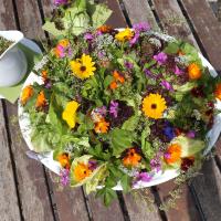 Vegetarische & Vegane Aromenküche