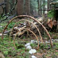 Kunst & Natur