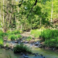 Unterwegs mit den Naturpark Rangern - Das wilde Perlbachtal