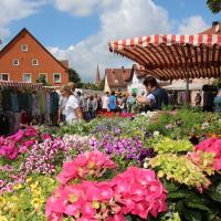 Michaelimarkt Thalmässing