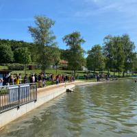 Waldsee Triathlon