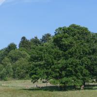 40. Neuhäuser Wandertag
